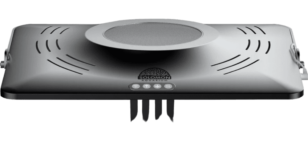 Solomon Aquarium
