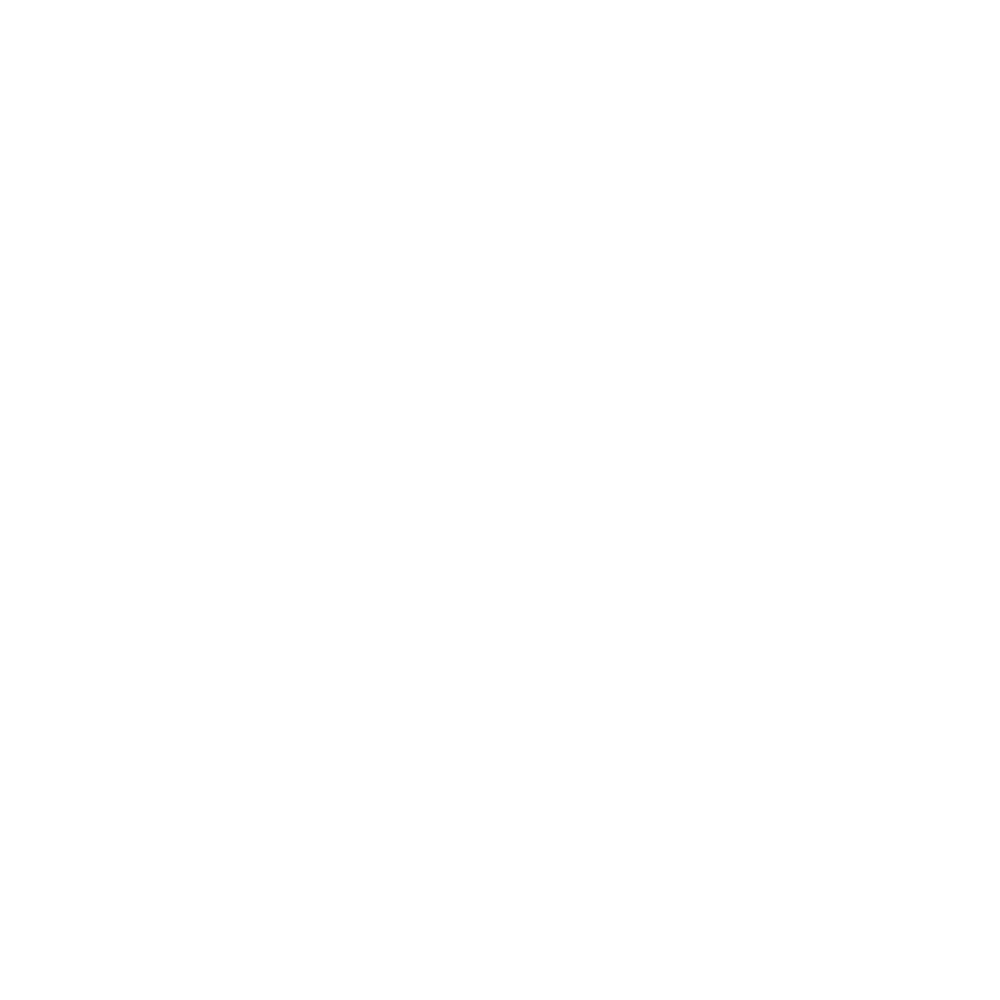 MONOCHROME LCD