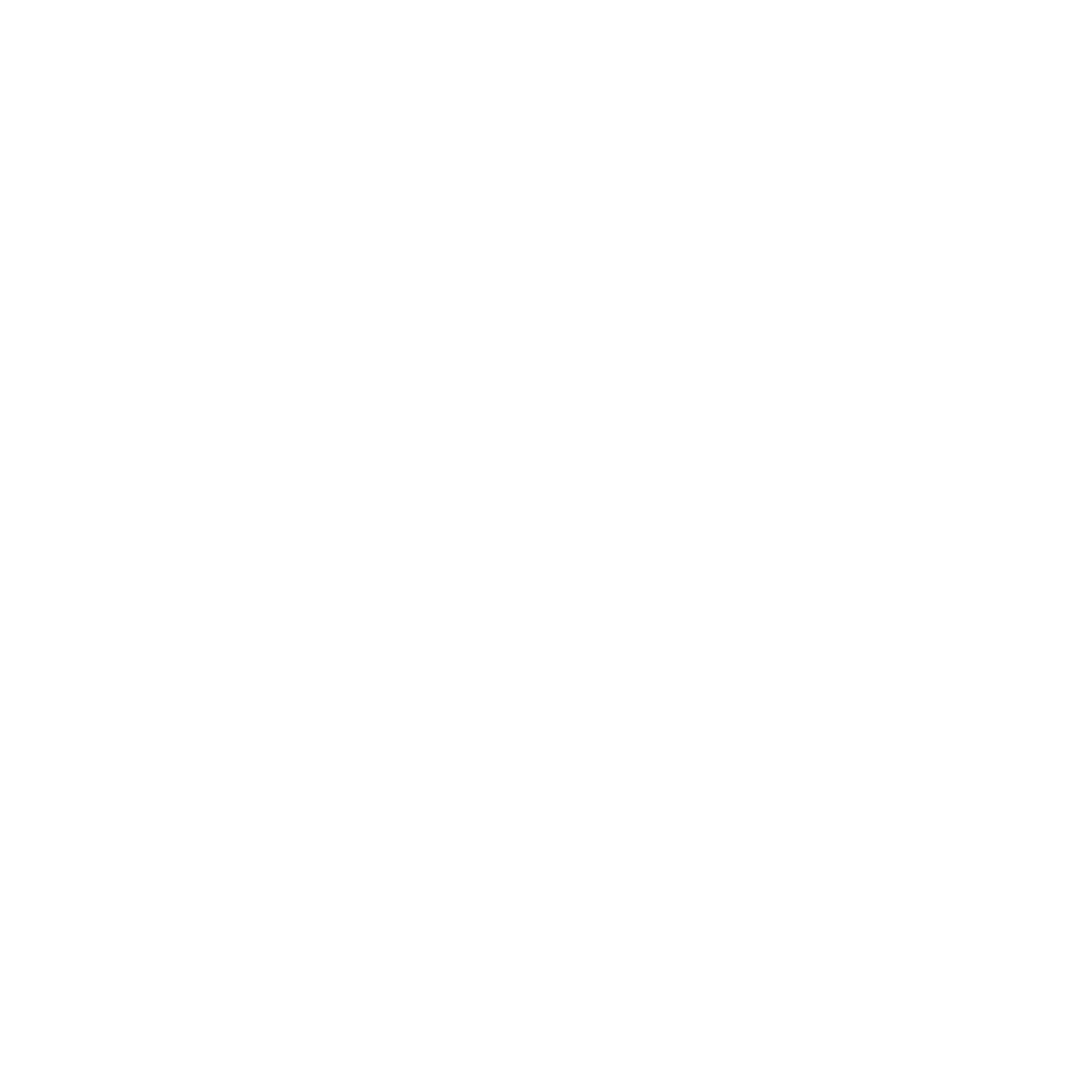 SECURITY